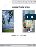 2 Protection Course - Overview Protection PDF