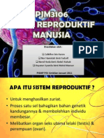 Sistem Reproduktif Manusia