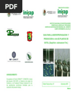 Guia para La Micropropagacion y Produccion in Vitro de Plantas de Sotol