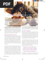 Aromatherapy For Cats