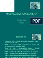 Aula 3. Matriz Extracelular