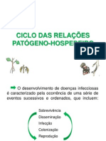 Aula 4. Ciclos Das Relações Patxhosp Nova