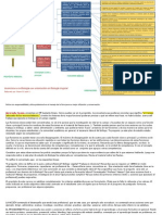 Mapa Funcional Lic. Biologia NOEMI