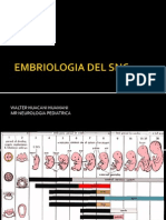 Embriologia Del SNC