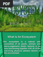 What Is An Ecosystem