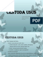 Cestoda Usus