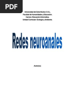 Trabajo de Redes Neuronales