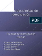 Pruebas Bioquimicas de Identificacion 243338506