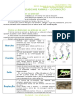 1.2 - Diversidade Dos Animais - Locomoção - Ficha Informativa PDF