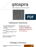 Leptospira