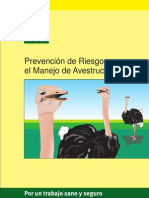 Prevencion Riesgos Manejo Avestruces