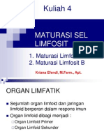 Kuliah 4 Maturasi Sel Limfosit