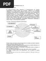 Comportamiento Del Yo