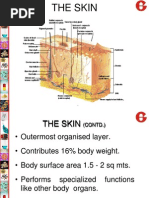 Skin - Basics