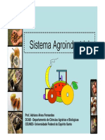 3 Sistema Agroindustrial 1