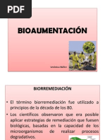 Bioaumentacion