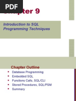 Introduction To SQL Programming Techniques