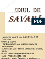 Mediul de Savana