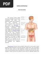 Anatomy and Physiology With