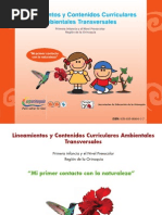 Lineamientos Del Medio Ambiente de Preescolar