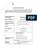 Formato Agenda Didactica