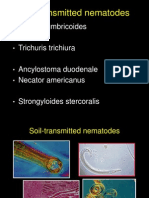 Filariasis