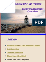 Credit Management