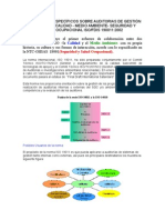 Lineamientos de La Auditorias Internas NTC-19011