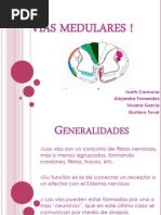 Expo Vias Medulares !