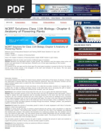 Anatomy of Flowering Plants