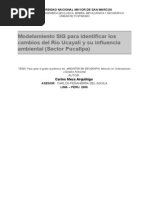 Modelamiento SIG para Identificar Los Cambios Del Río Ucayali y Su Influencia Ambiental. Caso Pucallpa. Tesis - FIGMMG - UNMSM. 2006