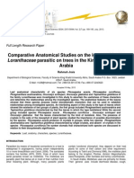 Comparative Anatomical Studies On The Leaves of Family Loranthaceae Parasitic On Trees in The Kingdom of Saudi Arabia