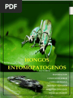 HONGOS ENTOMOPATÓGENOS (Libro Klyslerts)