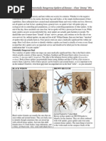 Identification of Potentially Dangerous Spiders of Kansas