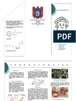 Carbohidratos Pequeño Folleto Sintetizado