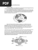 Pengaruh Lintang Terhadap Variasi Iklim Di Dunia