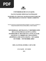 Diversidad, Abundancia y Distribución de Las Macroalgas en La Zona Intermareal Rocoso en Las Playas de Salinas, La Libertad y Ballenita (Península de Santa Elena - Ecuador o