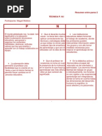 P N I Resumen Entre Pares 2