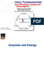 Biochemistry Fundamentals: An Overview of Enzymes, Energy and Bioenergetics