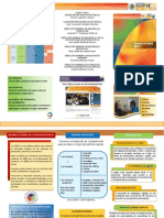 Triptico Plan de Estudios 2011