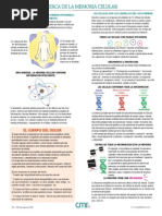 CMR Guide Spanish