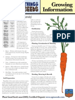 How To Grow Carrots: Detailed Cultivation