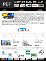 Satp Industrias S.A. de C.V. Presentacion 2013