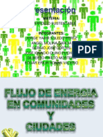 Flujo de Energia en Comunidades y Ciudades