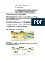 El Tránsito de La Energía en Los Ecosistemas PDF