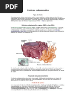 O Retículo Endoplasmático