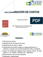 Edgard Carmen Determinacion de Costos