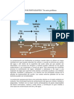 Contaminación Por Fertilizantes