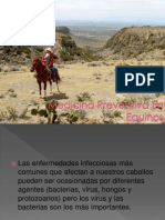 Medicina Preventiva en Equinos