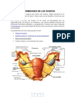 Enfermedades de Los Ovarios